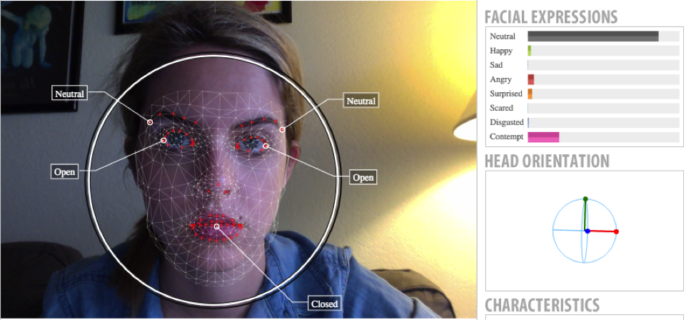 My purported RBF, analyzed with Noldus Face Reader software.