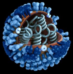 https://pixnio.com/science/microscopy-images/influenza/3d-graphical-representation-of-flu-virus