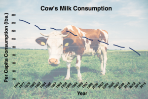 (Dairy Data) https://www.ers.usda.gov/data-products/dairy-data/ (Image) https://www.pexels.com/photo/white-brown-cow-234791/