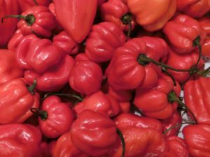 http://maxpixel.freegreatpicture.com/Sharp-Red-Habanero-Peppers-Paprika-Habanero-393601