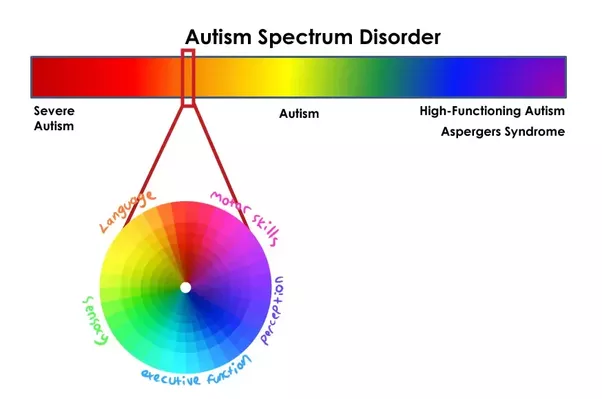 Depiction of ASD aspects at each part of the spectrum courtesy of Rebecca Burgess