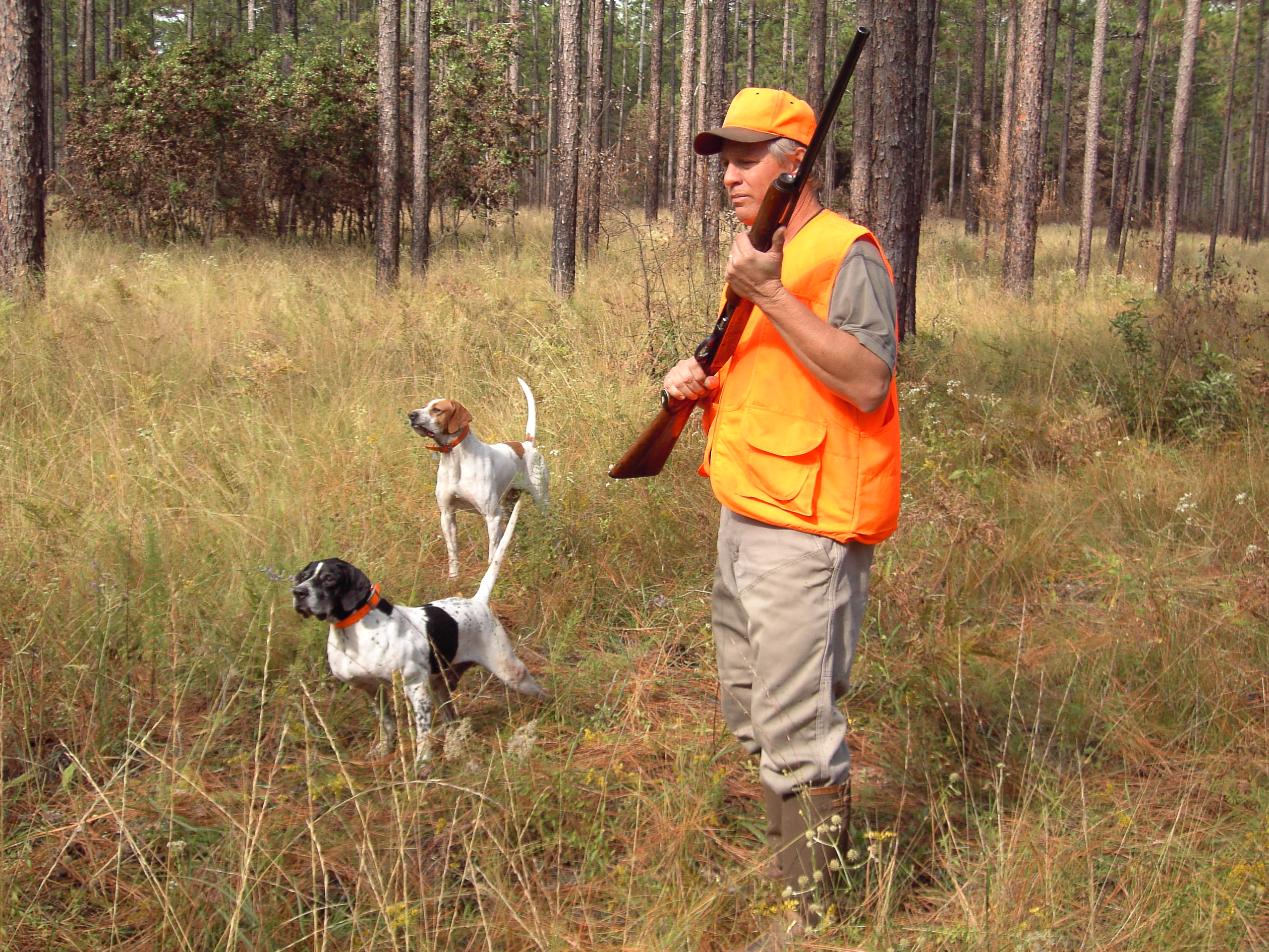 Midterm Election Ballot Amendments: What’s up with the Right to Hunt and Fish Amendment? – The
