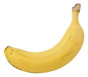 Image of a Single Banana