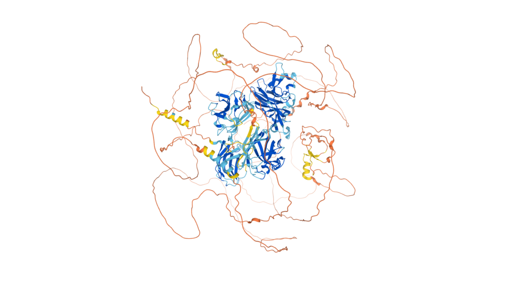 Computer generated image of the structure of the Drosophila melanogaster protein Skeletor as predicted by AlphaFold.