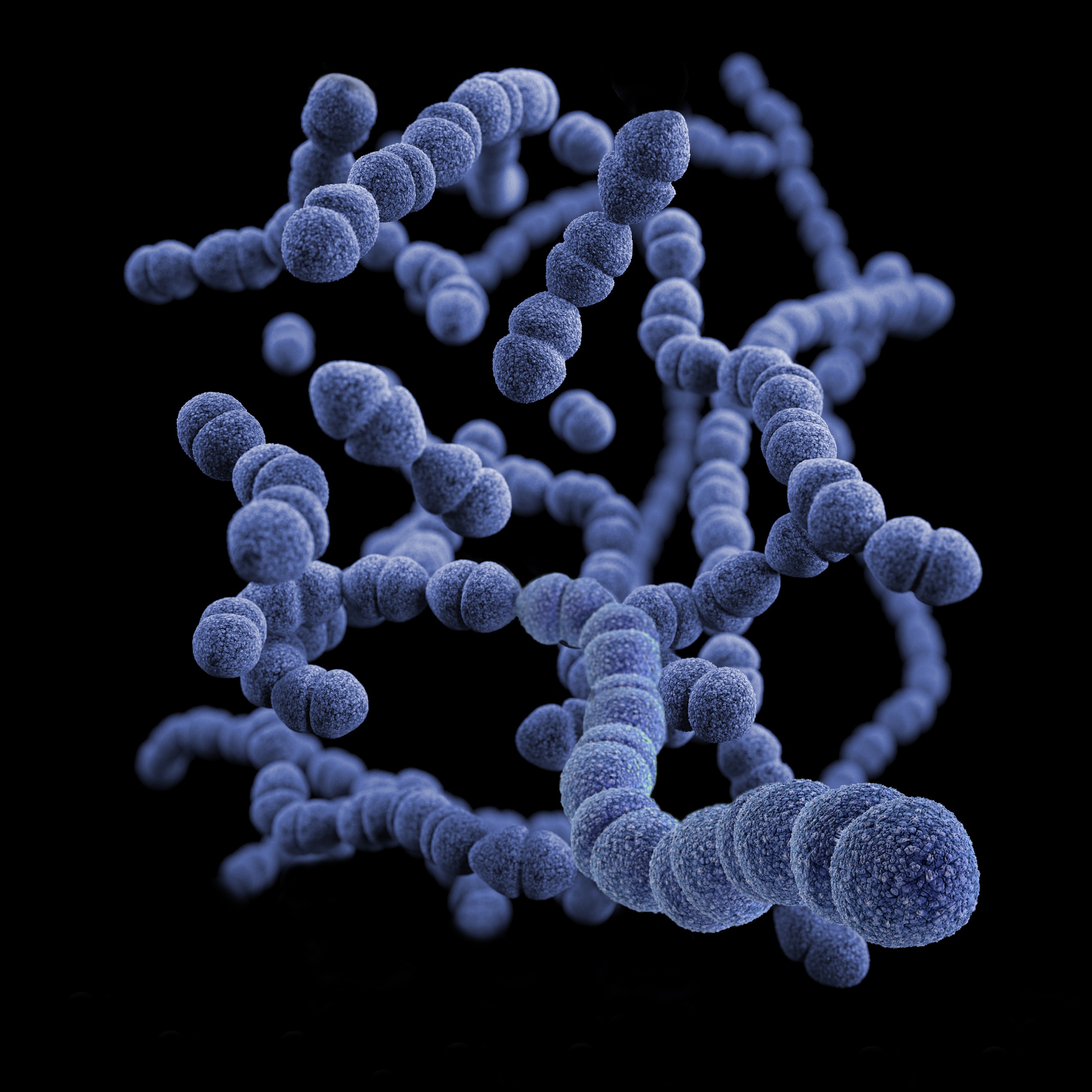 HD rendering of blue colored bacteria