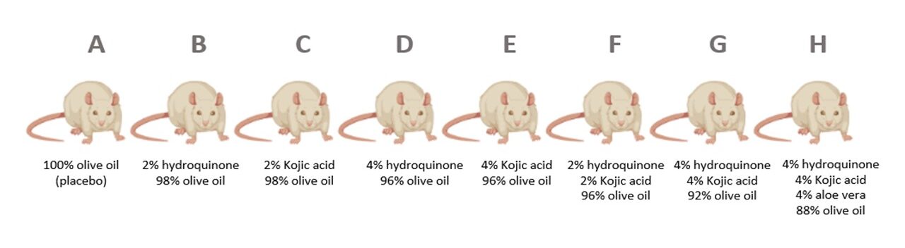 8 Cartoon mice with text describing experimental conditions