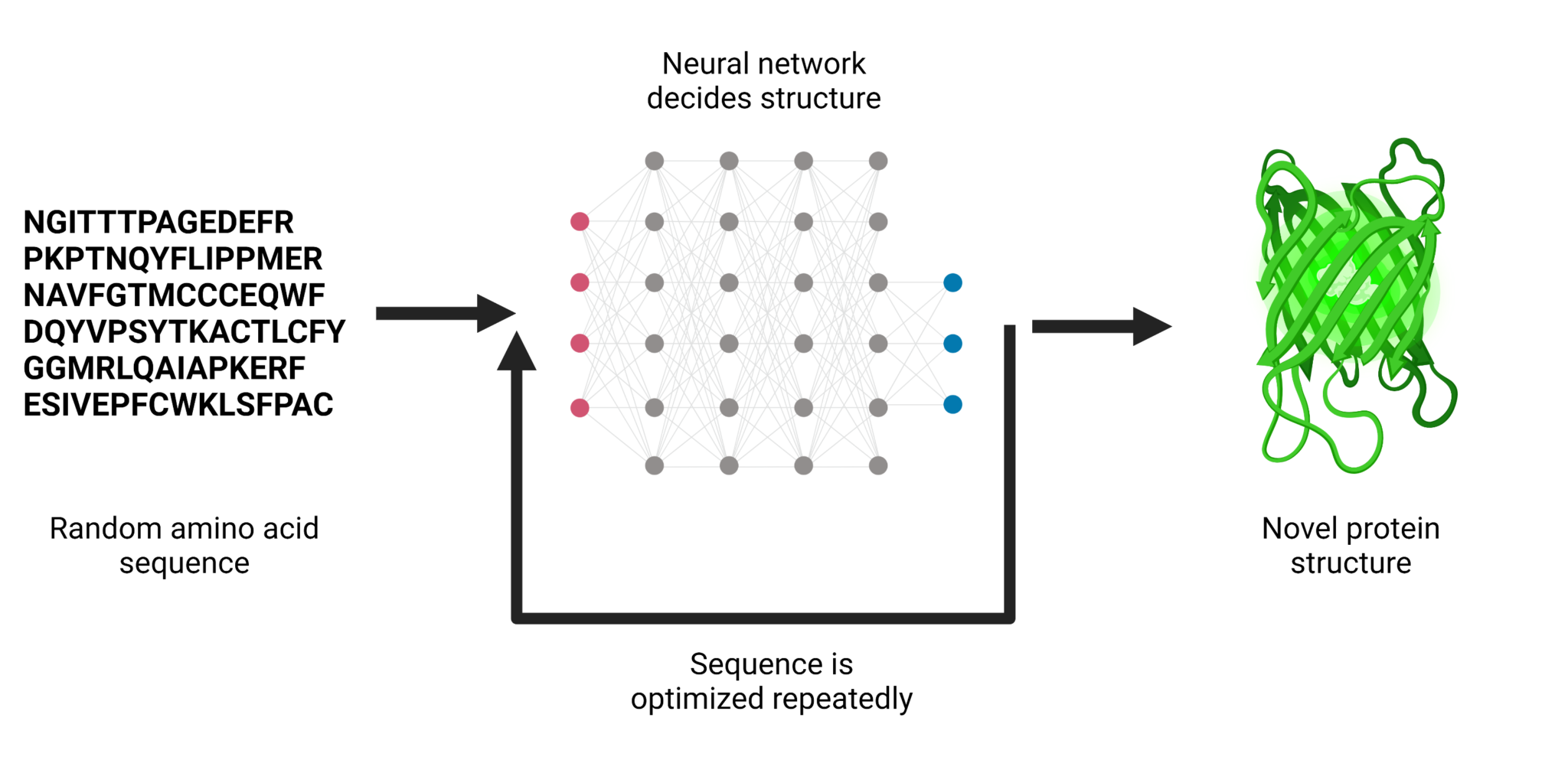Creating new protein structures with machine learning The Pipettepen
