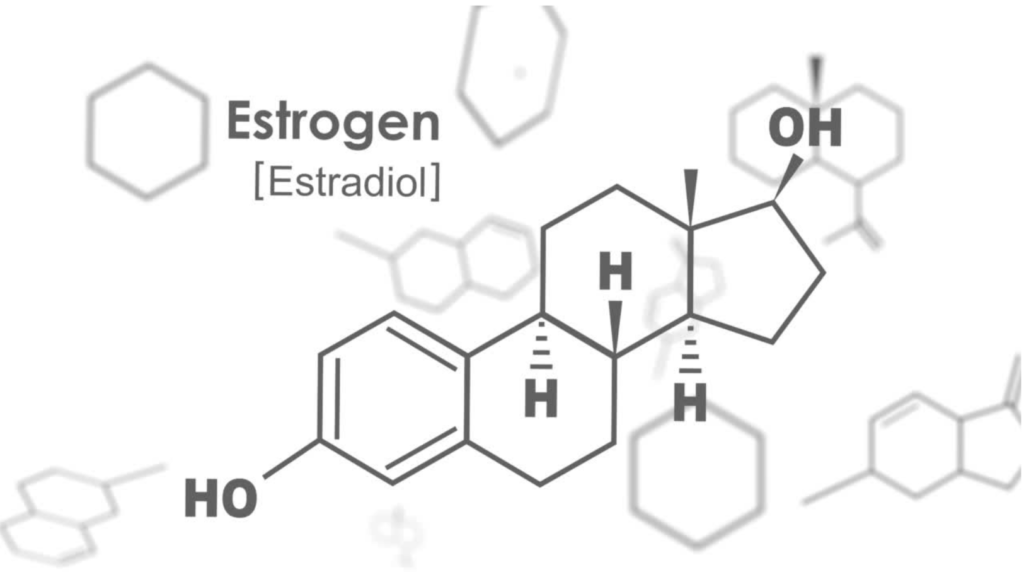 Structure of estradiol, one of the four types of estrogen.