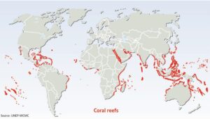 The global distribution of today's coral reefs across the tropics.
