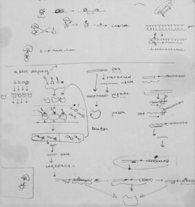 Scribbles on an old piece of paper, meant to help describe scientific research