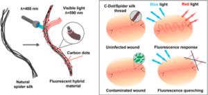 A two-panel graphical abstract depicts the addition of C-dots to spider silk glow red under specific light in panel 1. Panel 2 shows that sutures made from this material do not glow when in contact with pathogens.