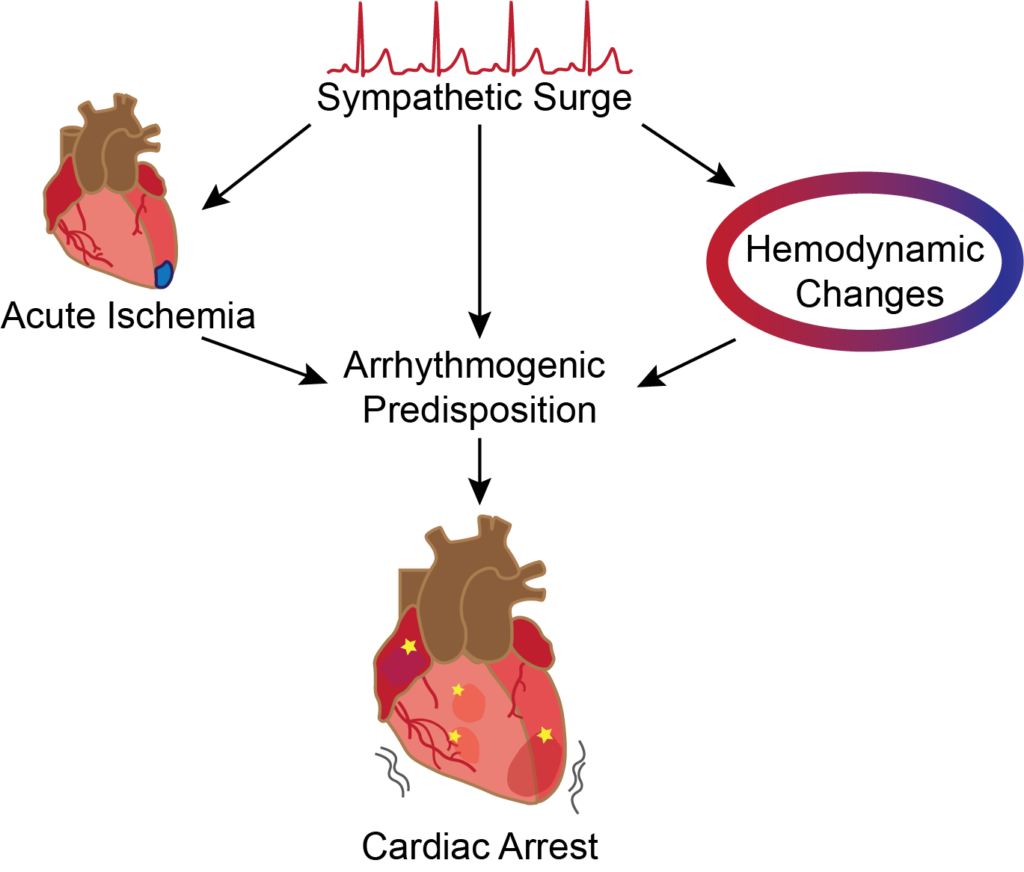 Schematic with three components that can drive cardiac arrest