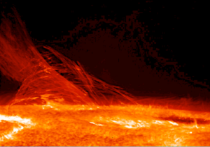 An image of the bright orange surface of the sun on a black background by a solar telescope. The image shows concave structures on the sun's surface which are part of a transition region of the sun. 