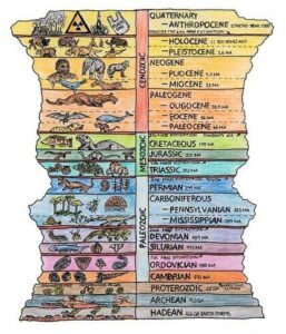 Diagram of the geologic time scale with eras farthest back in time at the bottom and recent eras at the top