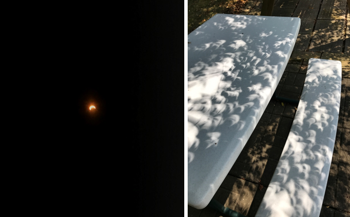 Photos from a partial solar eclipse showing the moon partially covering the sun and sun projections on a picnic table.