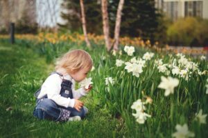 Baby sitting in front of flowers, smelling a daffodil. 