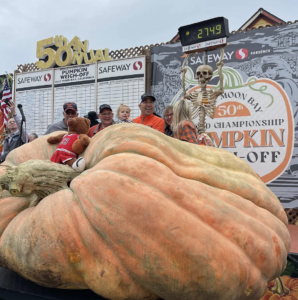 Jaw-dropping 'Michael Jordan': On October 9th, 2023, pumpkin grower Travis Gienger unveiled his historic masterpiece named after the famous athlete. Weighing an astonishing 2749 pounds, this colossal pumpkin, with a teddy bear donning Michael Jordan's jersey number sat perched on top, set a new world record, and left onlookers in awe of nature's grandeur. Source: Smithsonian Magazine via Miramar Events