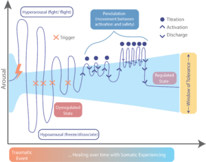 Diagram showing nervous system arousal over time, from a traumatic event to healing with Somatic Experiencing, with a narrowing then widening window of tolerance. Early large oscillations move outside the window into hyperarousal (fight or flight) and hypoarousal (freeze or dissociation) in response to triggers, indicating a dysregulated state. Over time, through pendulation and titration, repeated cycles of activation followed by energy discharge lead to smaller oscillations that return to and remain within the window of tolerance, with increasing stability over time, representing a regulated state.