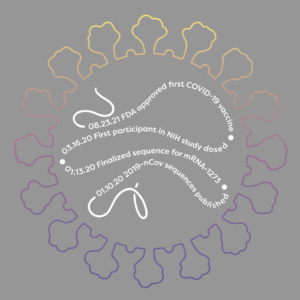Image depicts a 2D structure of COVID19 Virus with vaccine milestones written inside.